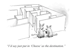 pck-humor-gps-destination