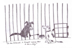 pck-humor-dog-anonymity-evolution