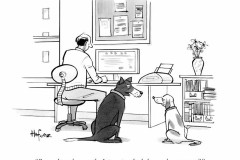 pck-humor-dog-anonymity-no