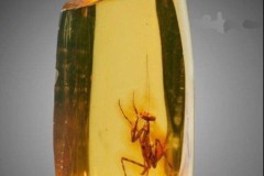 pck-humor-junior-cybersec