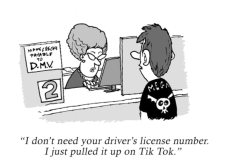 pck-humor-license-on-social